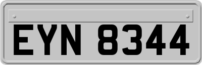 EYN8344