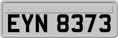 EYN8373