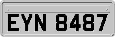 EYN8487