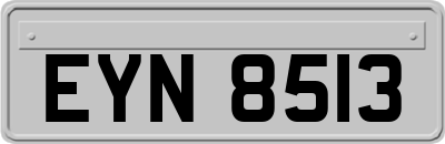EYN8513