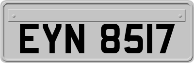 EYN8517