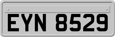 EYN8529