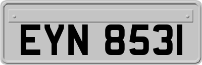 EYN8531