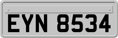 EYN8534