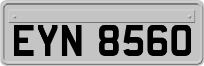 EYN8560