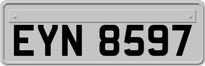 EYN8597