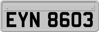 EYN8603