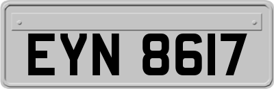 EYN8617