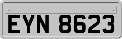 EYN8623