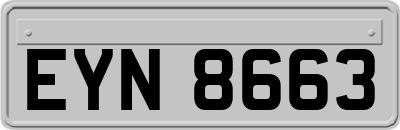 EYN8663