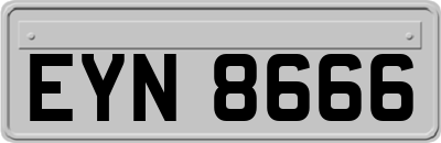 EYN8666