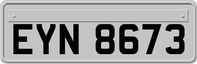 EYN8673