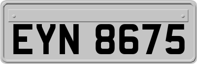 EYN8675