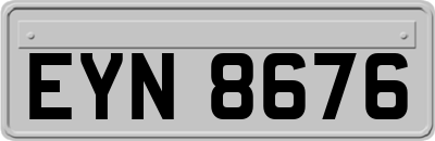 EYN8676