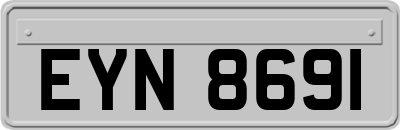 EYN8691