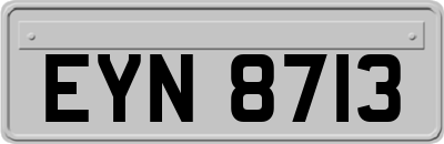 EYN8713