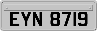 EYN8719