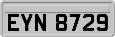 EYN8729