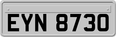 EYN8730