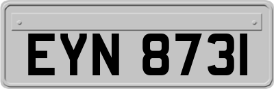 EYN8731