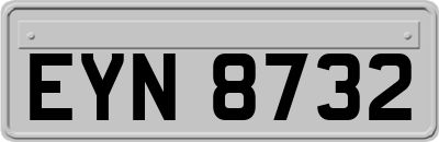 EYN8732