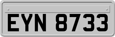 EYN8733