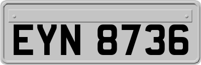 EYN8736