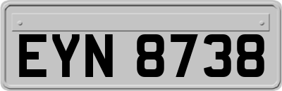 EYN8738