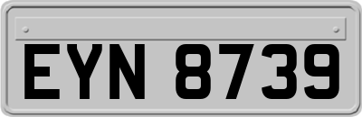 EYN8739