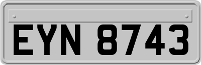 EYN8743