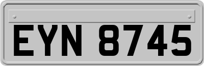 EYN8745