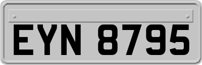 EYN8795