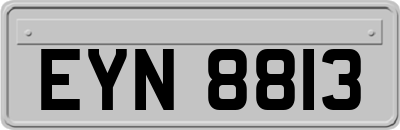 EYN8813