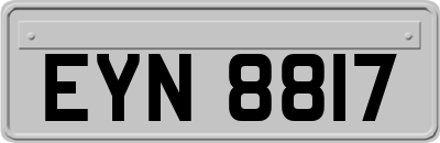EYN8817