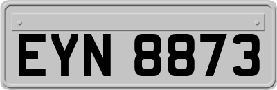 EYN8873