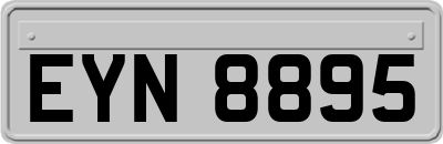 EYN8895