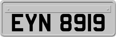 EYN8919