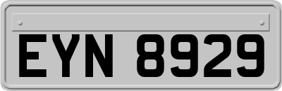 EYN8929