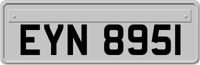 EYN8951