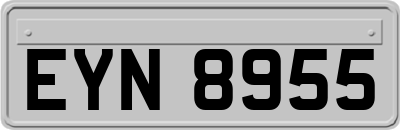 EYN8955
