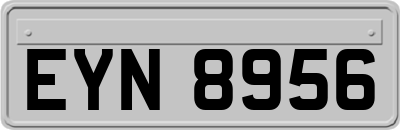 EYN8956
