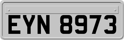 EYN8973