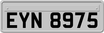 EYN8975