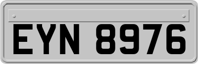 EYN8976