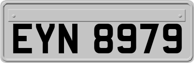 EYN8979