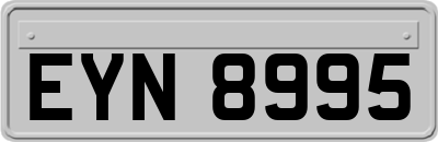 EYN8995