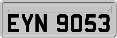 EYN9053