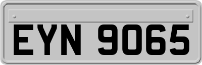 EYN9065