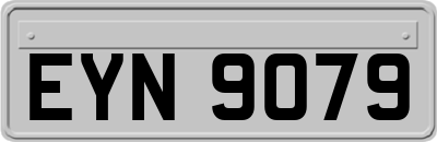 EYN9079