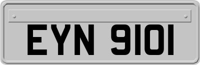 EYN9101